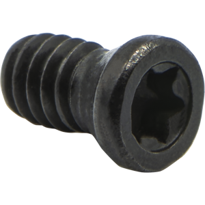 S06 INSERT SCREW