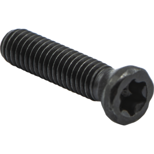 S10 INSERT SCREW