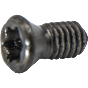 S13 INSERT SCREW