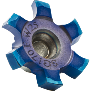 SG 170 F W25 MT8
