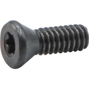 SE16 INSERT SCREW