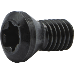 S45S SHORT INSERT SCREW