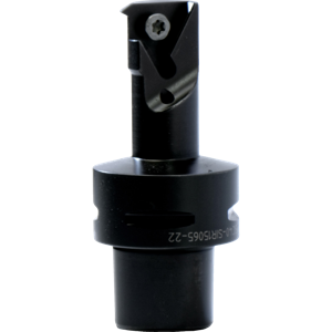 P40 - SIR 15065 - 22