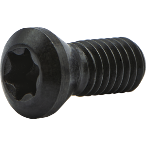 S45 INSERT SCREW