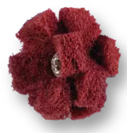 1" POLINOX® Cross Buffs, 8-32 Thd. - 2 Layers, Aluminum Oxide - Fine Grade